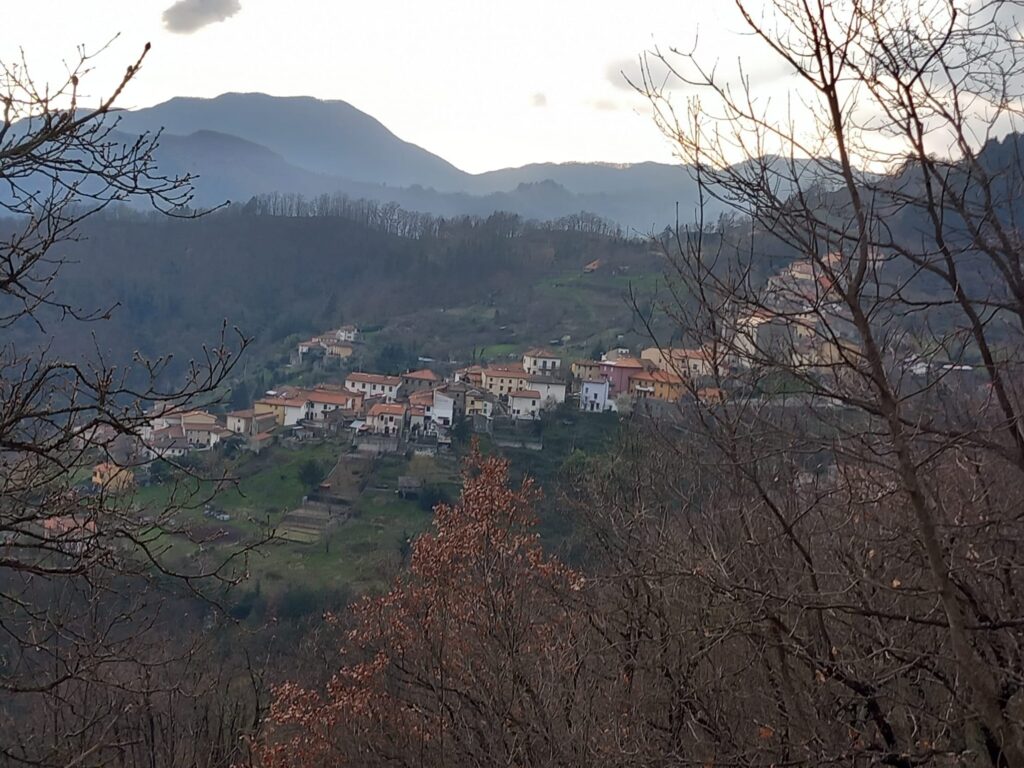 Cavarzano visto dalla Torre
