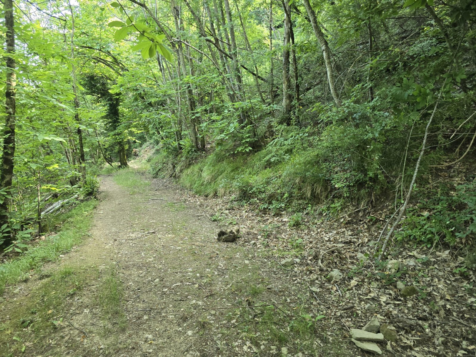Giro della Torre